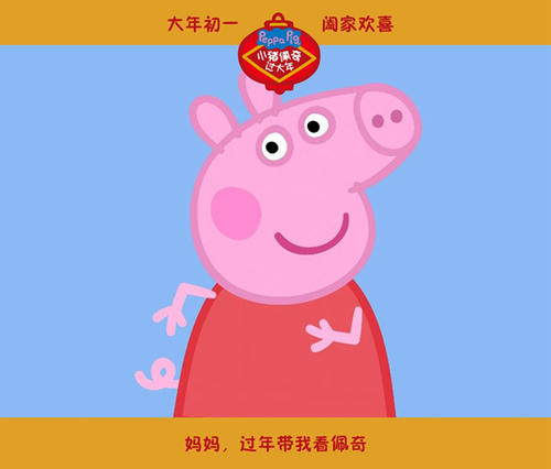 南部联邦大学Diploma in Finance